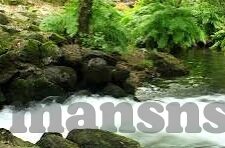 大象传媒麻豆一区在线-大象传媒与麻豆一区，网络文化的新视角
