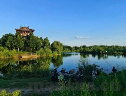 国产麻豆剧传媒精品国产av蜜桃-国产麻豆剧，精品国产AV蜜桃时代的创新与探索