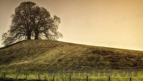 麻豆传媒app破解版下载免费版下载-麻豆传媒App，影视娱乐的灰色地带探索与警醒