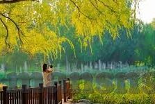 麻豆视频app苹果下载-探秘麻豆视频APP——iOS平台上的高清影片观影新体验