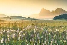 麻豆影视传媒在线-麻豆影视——探索数字娱乐新视界