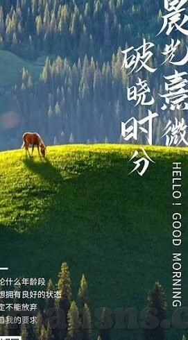 日韩欧美在线一区二区-全球网络文化交汇，日韩欧美在线一区二区的多元视角