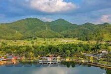 中文字幕大香蕉色在线-探索网络文化的多元视角，中文字幕与大香蕉色在线的背后